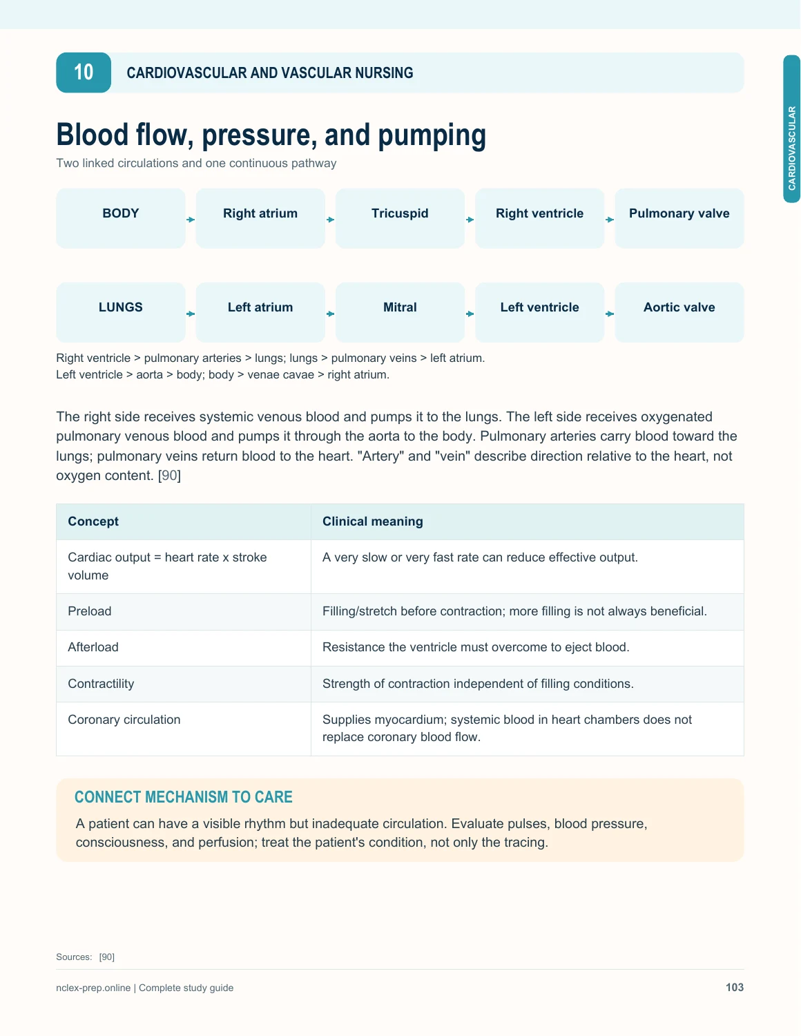 Actual cardiovascular nursing page inside the PDF
